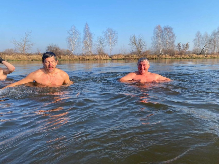 Urzekające Morsy Białobrzeskie także kąpały się w niedzielę w nurtach Pilicy