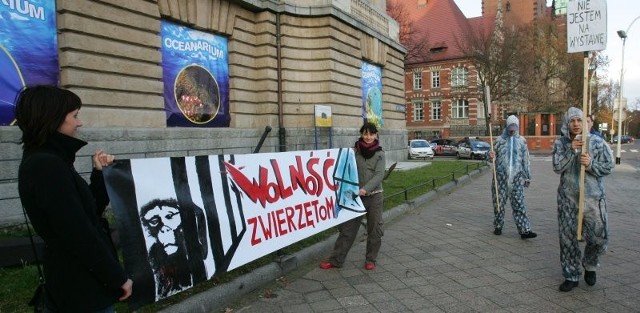 Tylko kilku ekologów zdecydowało się na protest na Wałach Chrobrego.