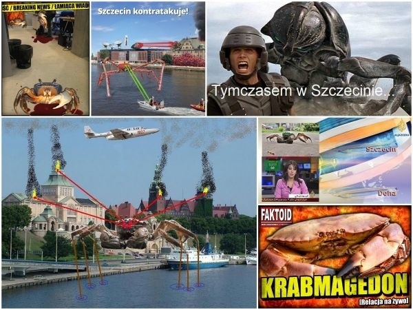 "Krwiożercze kraby w Szczecinie!". Internet się śmieje. Najzabawniejsze memy [zdjęcia]