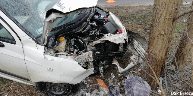 Samochód osobowy uderzył w drzewo w Kobylarni. Samochód wypadł z zakrętu. Auto zaczęło płonąć. Na szczęście przed przybyciem strażaków samochód został ugaszony gaśnicami przez innych kierowców. Przybyli na miejsce strażacy m.in. z OSP Brzoza dogasili pojazd. Prowadzącemu nic się nie stało. Został przebadany przez przybyły na miejsce ZRM. Sprawę wyjaśnia policja.Zobacz także:Ferie w Toruniu. Jak je spędzić