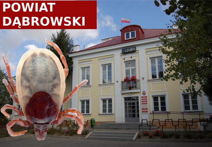 W powiecie dąbrowskim statystyki nie wydają się alarmujące....