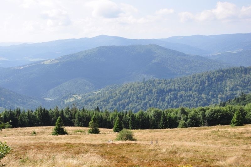 Odkryj Beskid Wyspowy. „Wyspa” z wielkim Zbójnickim Stołem