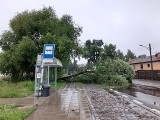 Szczecin: wyszło słońce po ulewach, ale nie na długo! Miasto po nocnej burzy