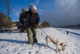 Pogoda na zimę. Kiedy spadnie śnieg? Oto długoterminowa prognoza pogody. Zobacz, co nas czeka!