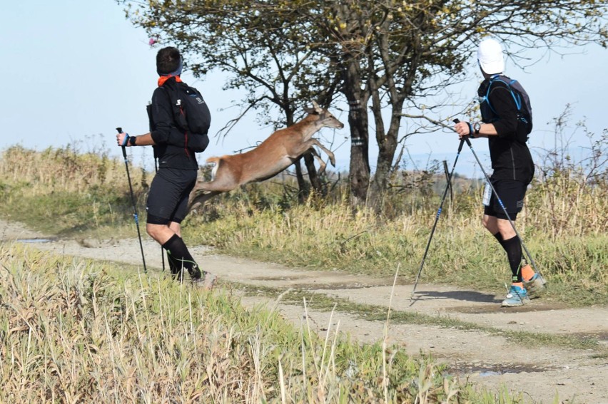 Około 2 tysięcy biegaczy na Łemkowyna Ultra-Trail. Najdłuższa trasa, z Krynicy do Komańczy, liczyła 150 kilometrów [DUŻO ZDJĘĆ]