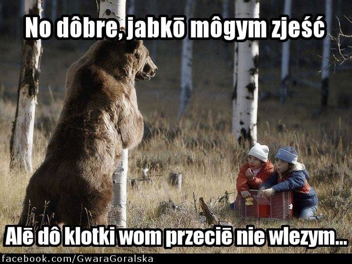 Podhale: Góralskie memy. Zobacz, jakie poczucie humoru mają górale! Oto najlepsze góralskie memy 28.11.2023