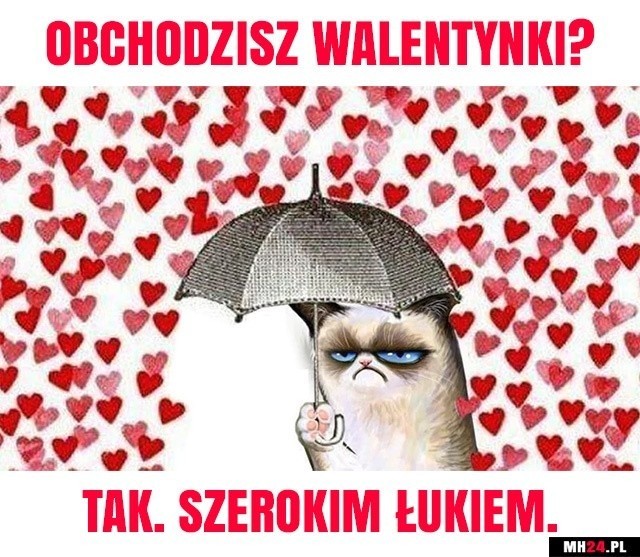 Walentynki w memach, czyli cała prawda o święcie 14 lutego. Wszyscy jednak mimo wszystko lubimy kartki, kwiaty i życzenia?