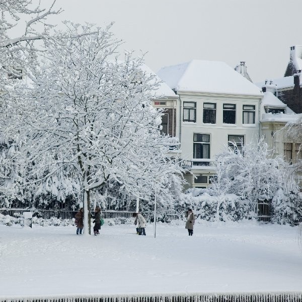 Miały być białe święta. Niestety. Będą tylko mroźne.