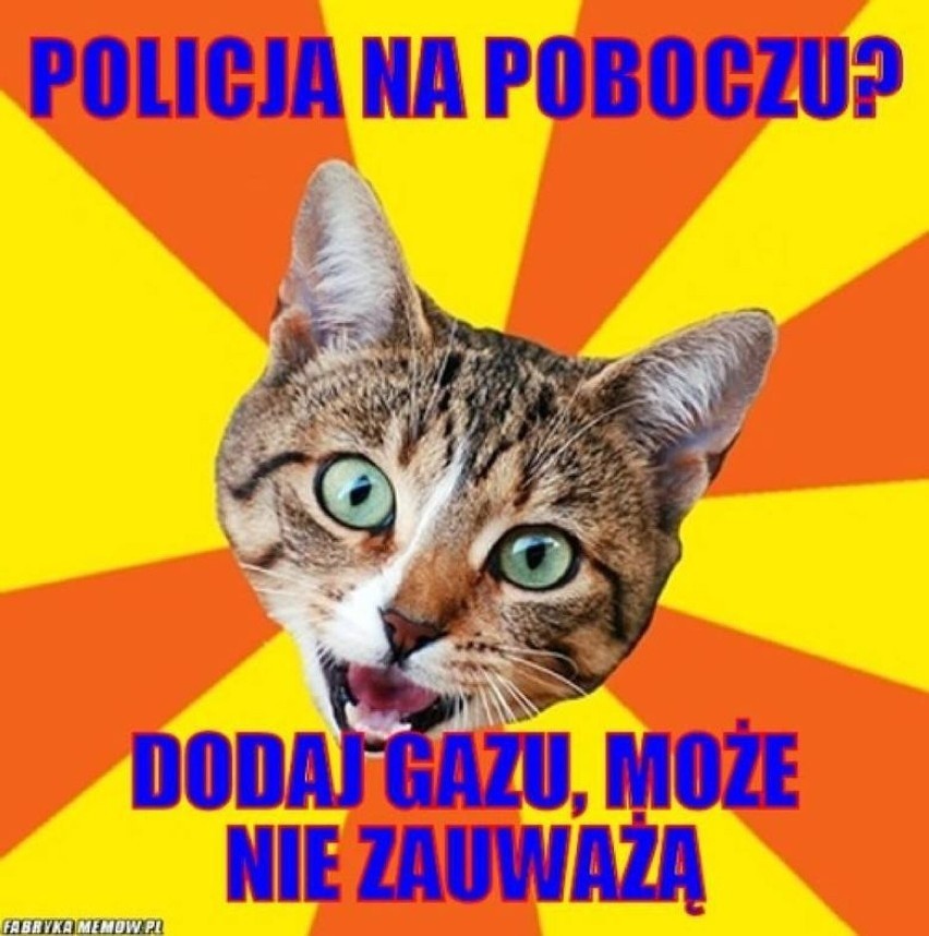 Zobacz kolejne zdjęcia. Przesuwaj zdjęcia w prawo - naciśnij...