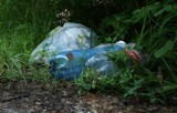 "Stop absurdom śmieciowym" - zielona linia na nielegalne śmieci