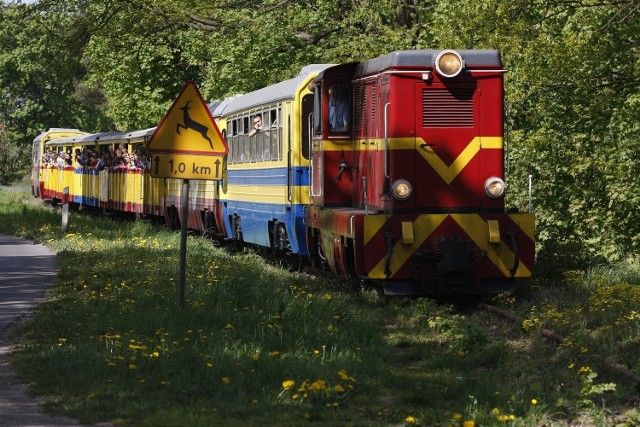 Zrewitalizowana kolej wąskotorowa połączyłaby Łęczycę z sąsiednimi miastami, co byłoby atrakcją turystyczną