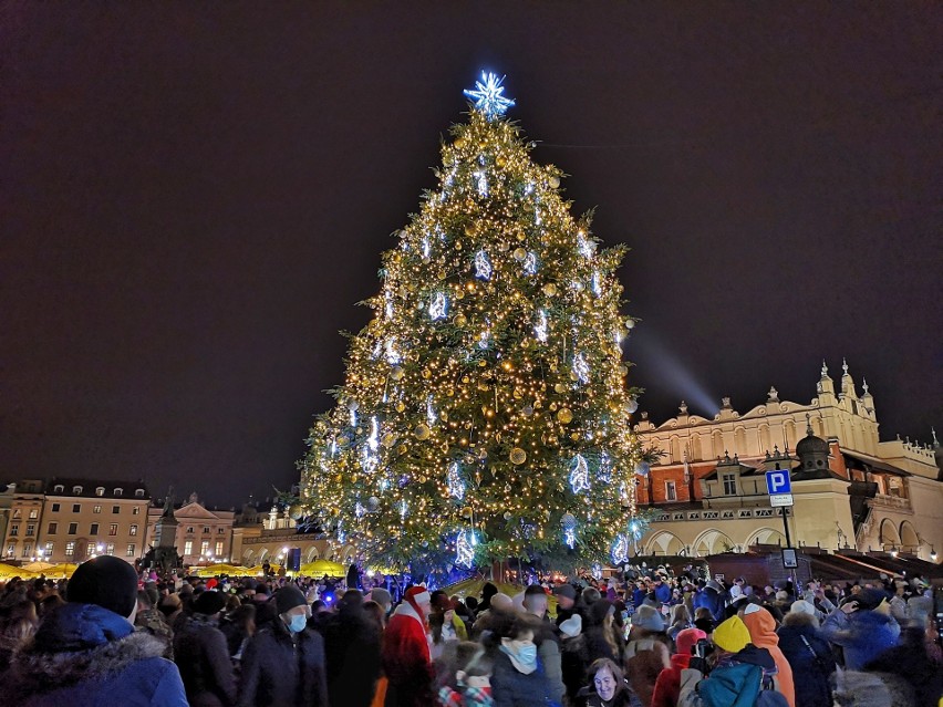 Na Rynku Głównym rozbłysła największa choinka w Krakowie. 15-metrowy świerk zdobi 26 tysięcy światełek! [ZDJĘCIA]