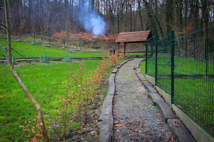 Kolejne wybiegi dla psów w Szczecinie. Również dla szczeniaków