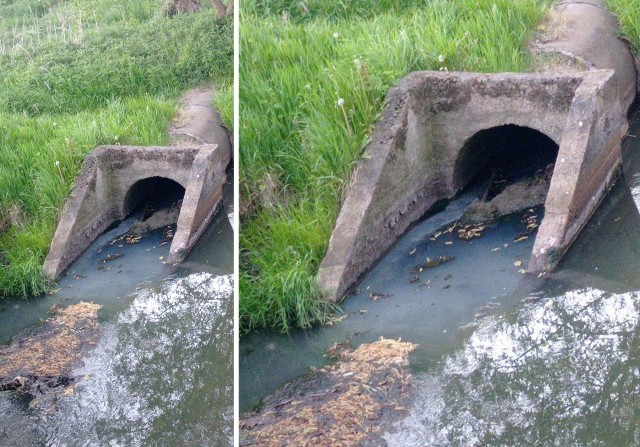 Ponowny wyciek ścieku przez wylot kanalizacji deszczowej do Kanału Ulgi zauważył nasz Czytelnik