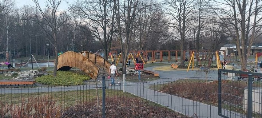 Strefa Ogólnomiejska - Park dinozaurów „Dino”, leżaki...