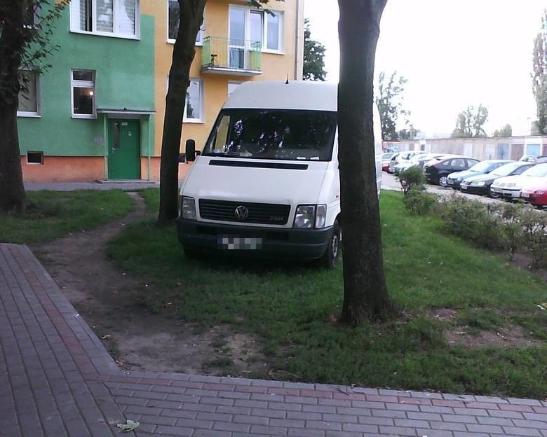 "Mistrzowie parkowania" - to jedno z najłagodniejszych...