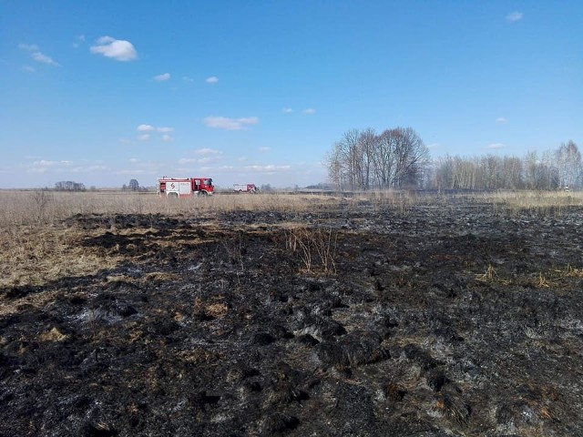 W środę o godz. 14.11 strażacy OSP Brańsk zostali skierowani do miejscowości Józefin gdzie doszło do pożaru trawy i trzciny w rejonie rzeki.Zdjęcia dzięki uprzejmości OSP Brańsk;nf