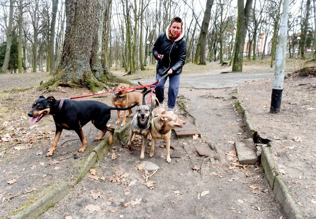 W Park Tysiąclecia to częsty cel spacerów z naszymi pupilami u boku!