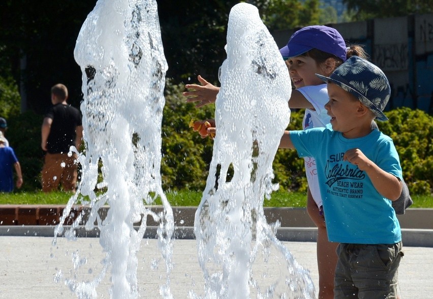 Stare Koryto Warty: Były chaszcze, teraz jest park