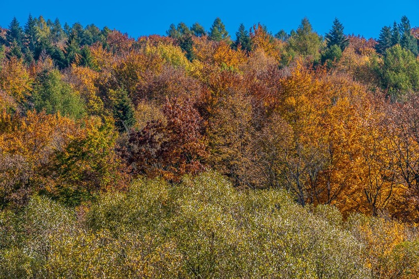 Krynica-Zdrój. Złota Polska jesień w uzdrowisku                                                     