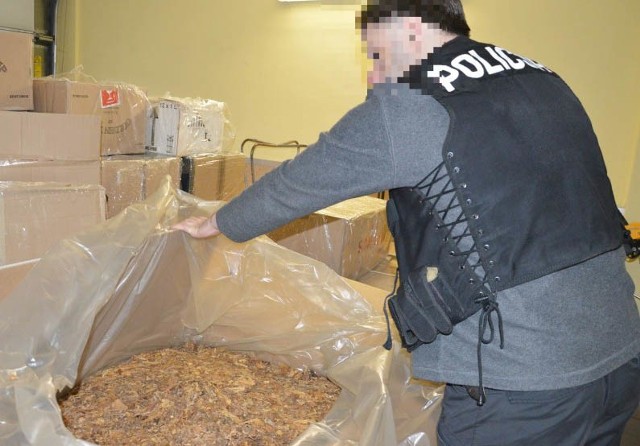 Policjanci znaleźli prawie 300 kilogramów nielegalnego tytoniu na posesji na osiedlu Południe.