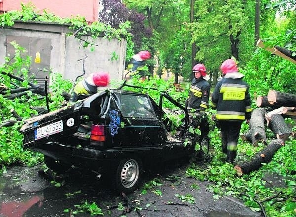 W Lesznie drzewo przewróciło się na samochód