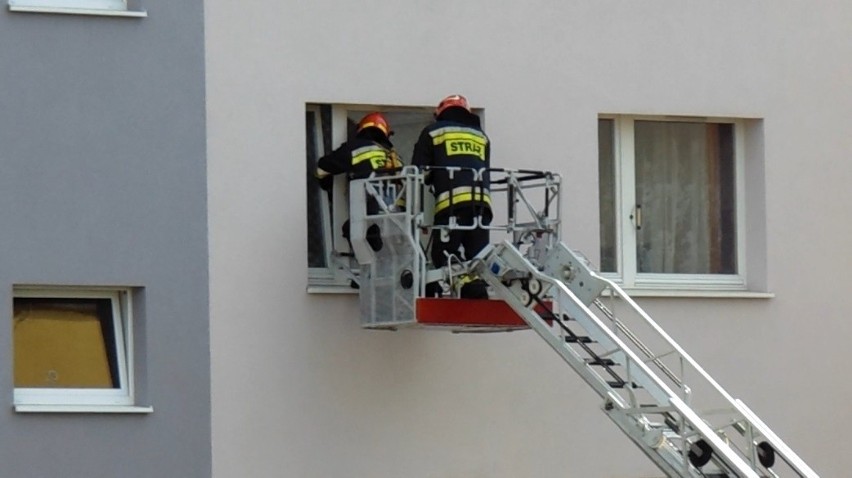 Ruda Śląska: Strażacy znaleźli martwego mężczyznę w mieszkaniu 