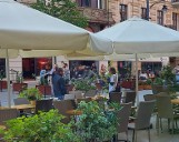 Znów panoszą się na Piotrkowskiej. Wyjadają resztki z restauracyjnych stolików! Ale wstyd! ZDJĘCIA