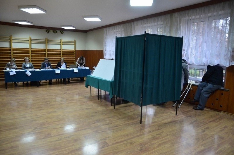 Wybory samorządowe 2014: Wielkopolanie ruszyli do urn