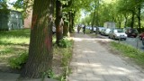Budowa tunelu na Niciarnianej w Łodzi. Wytną prawie 400 drzew [ZDJĘCIA]