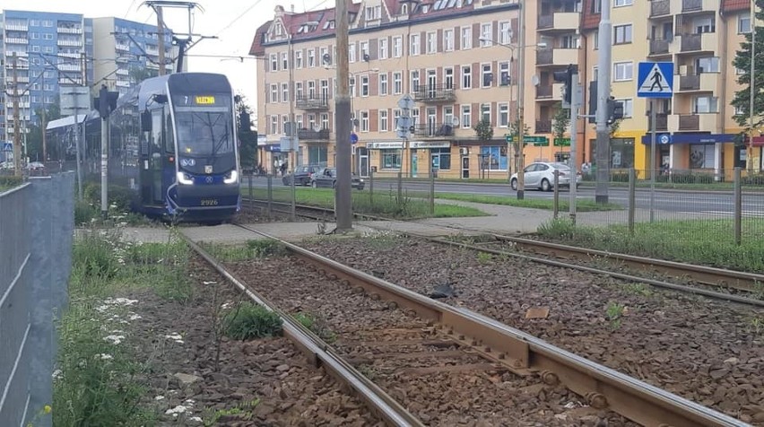 Torowiska tramwajowe we Wrocławiu.