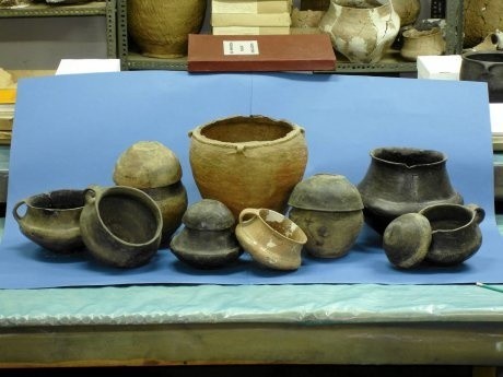 Popielnice z misami i klosz z grobów kultury pomorskiej odkryte w Gulinie