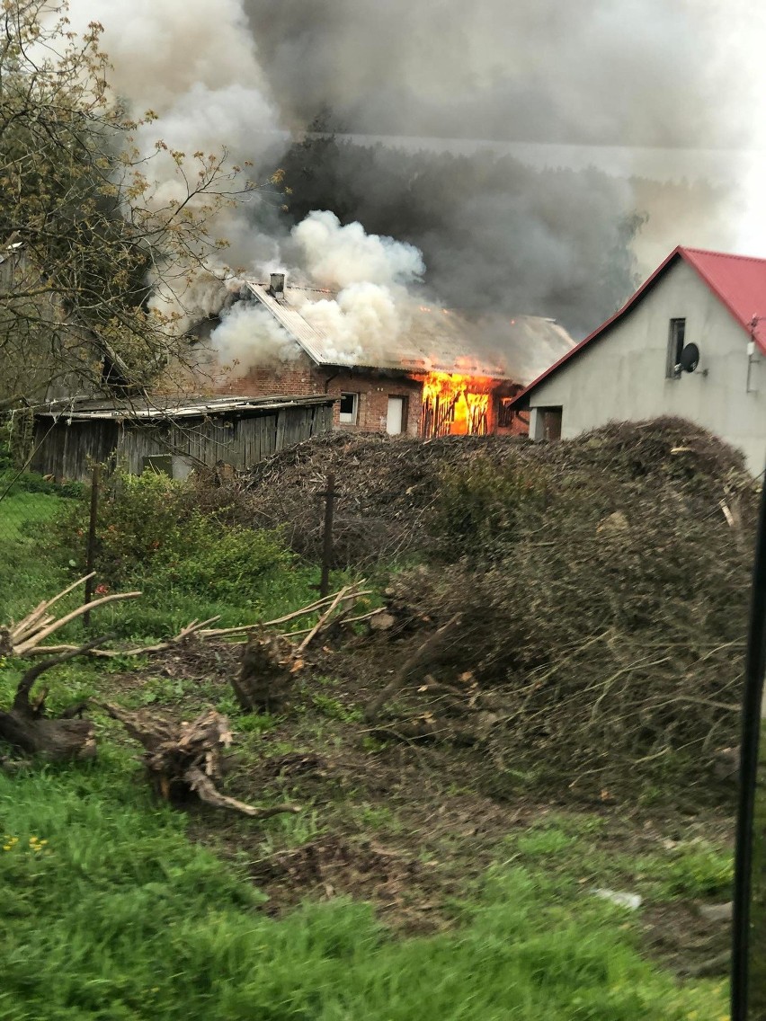 Do pożaru doszło w niedzielę po południu w Tarnobrzegu -...