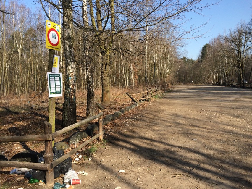 Parking przy Stargańcu był pusty. Mieszkańcy zostali w domu....