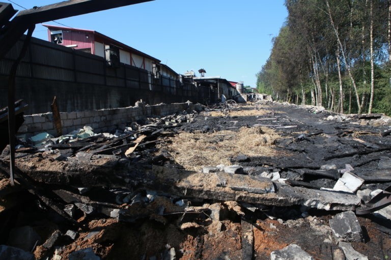 Gigantyczny pożar ubojni drobiu w Lubomierzu. Straty są ogromne! [ZDJĘCIA]