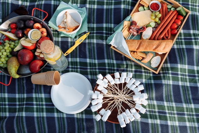 Jak się wyposażyć na majówkowy piknik w plenerze? Sprawdź, co może się przydać podczas grillowania na łonie przyrody.