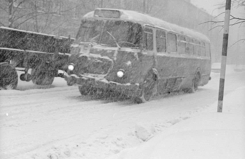 Zima stulecia sparaliżowała transport. Pekaesy biły rekordy...