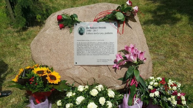 Kamień z tablicą pamiątkową doktora Tadeusza Dróżdża w Warszawie