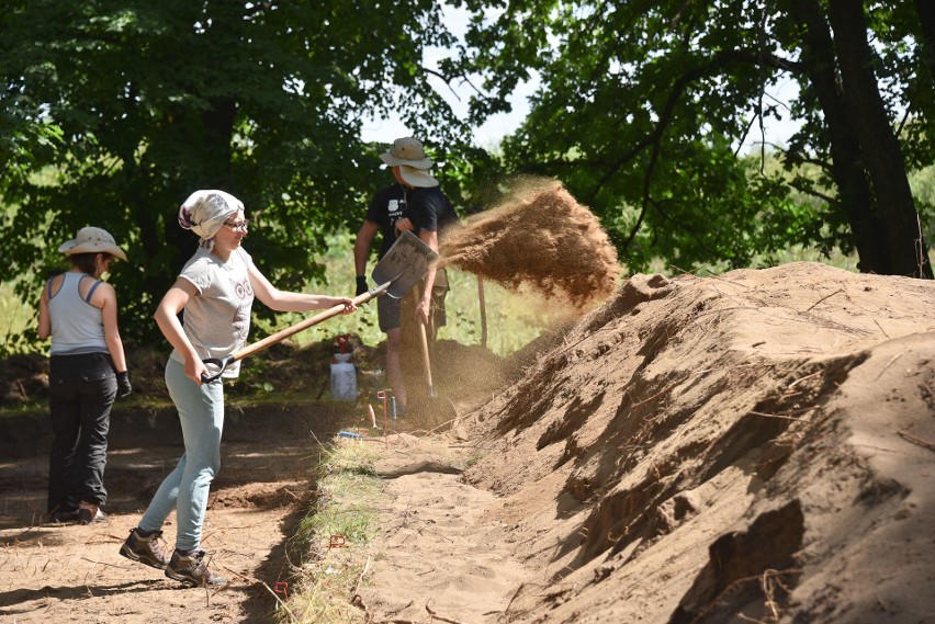 W tym roku archeolodzy znów wrócili na niewielką wysepkę...