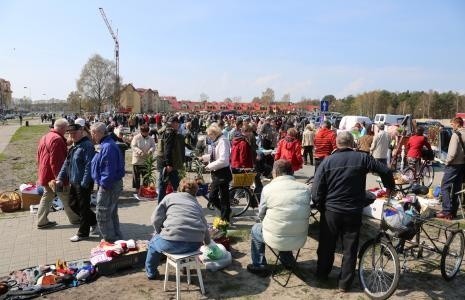 Pchli Targ w Świnoujściu.