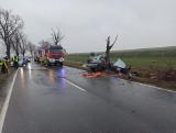 Tragedia na drodze pod Strzegomiem. Volvo zawinęło się wokół drzewa, nie żyje 20-letni kierowca