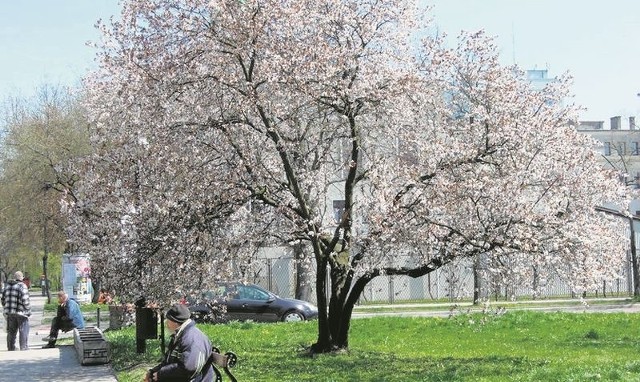 Przylatuje coraz więcej bocianów, ostatnio wróciły także dudki.