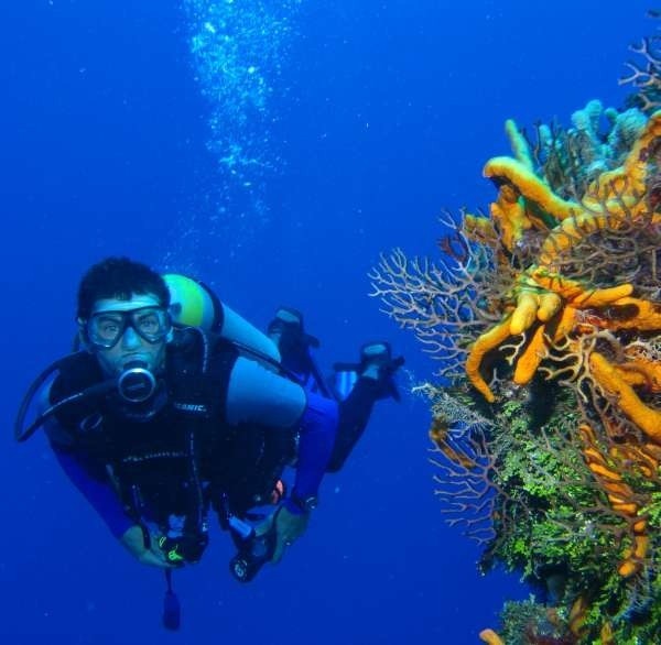 Wszystkie koralowce są pod ochroną. Mimo tego na całym świecie łatwo je kupić w sklepach z pamiątkami.