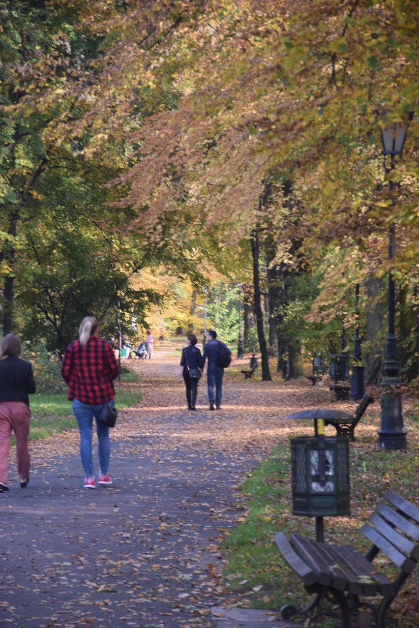 Park pszczyński w jesiennych barwach