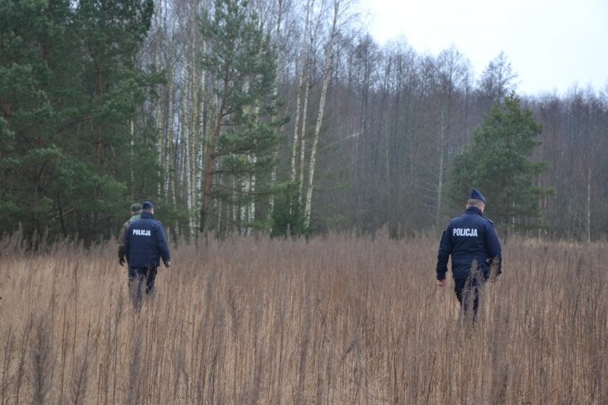 Policjanci z psami ruszyli na kłusowników. Wspólna akcja mundurowych (zdjęcia)