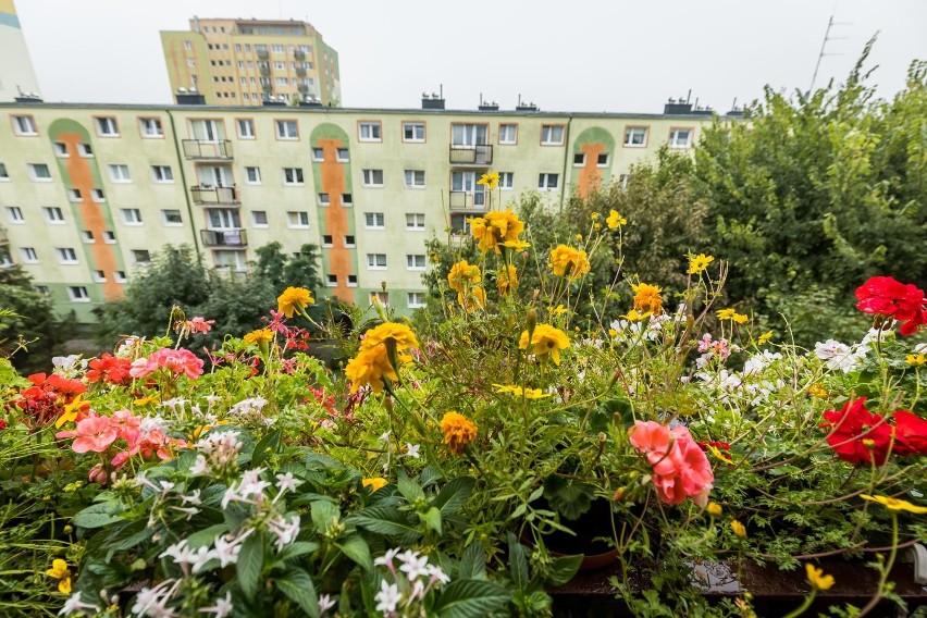 Tak prezentuje się ukwiecony balkon państwa Melanii i...