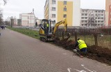 Stargard. Oświetlą drogę dla pieszych i rowerzystów 