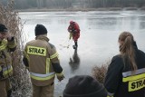 Tragedia w Jastrzębiu-Zdroju. Pod mężczyzną załamał się lód. Wezwano śmigłowiec Lotniczego Pogotowia Ratunkowego