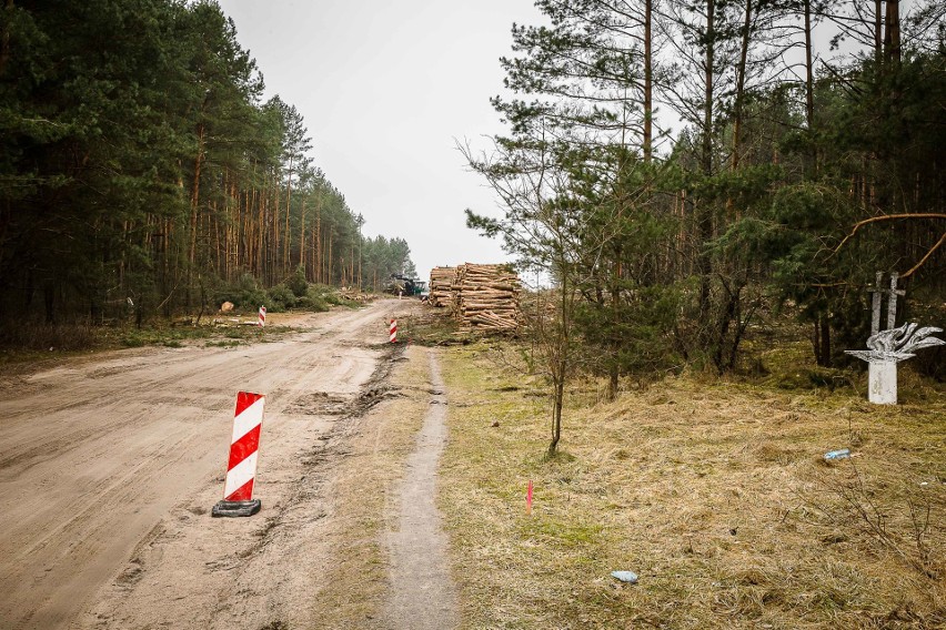 Budowa Trasy Niepodległości rozpoczęła się właśnie w lesie...