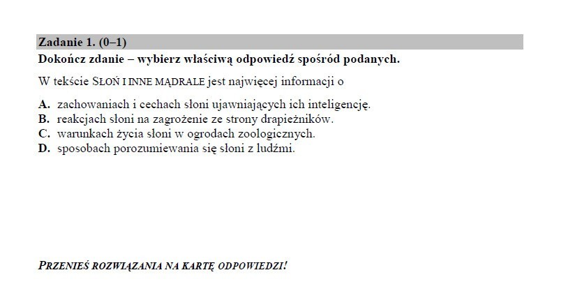 Sprawdzian szóstoklasisty 2015. Język polski i matematyka. Są już arkusze CKE! (SPRAWDŹ ODPOWIEDZI)